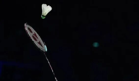 毛叶是人工, 不过, TAlXQ 毛叶是人工, 不过, TAlXQ